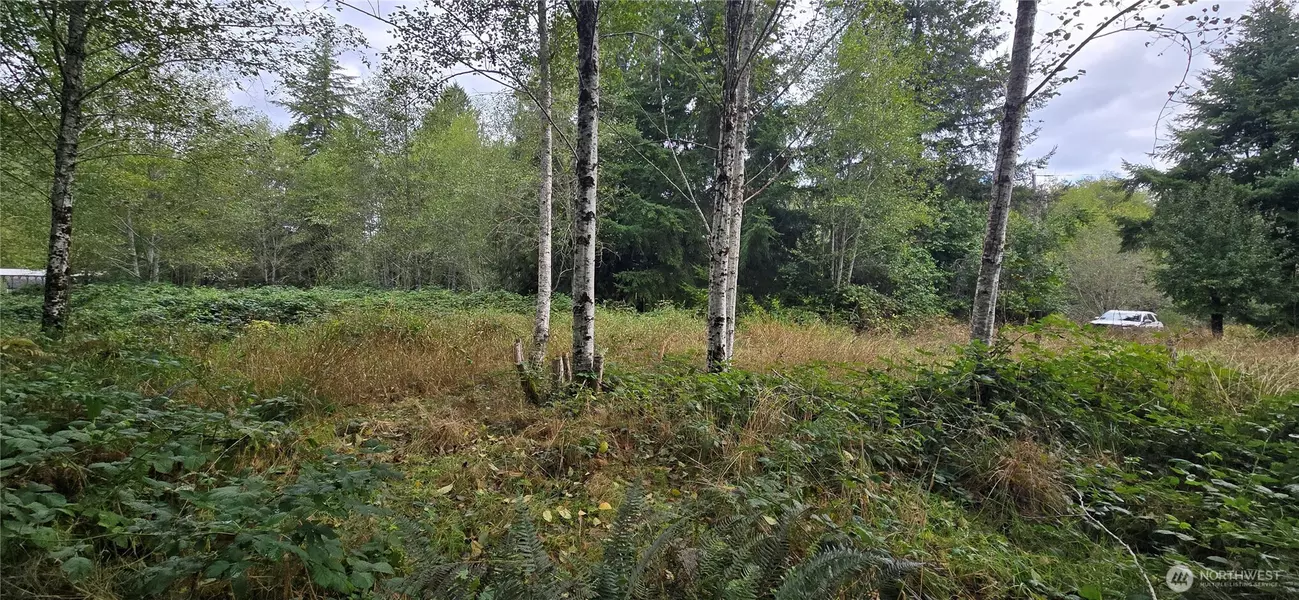 1351 Satsop RD W, Montesano, WA 98563