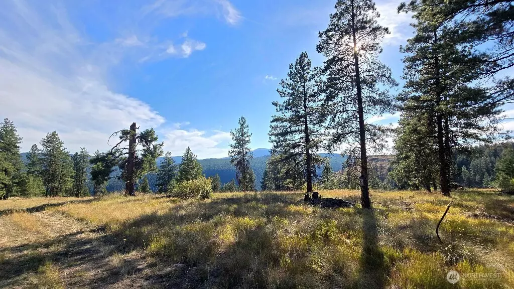 Wauconda, WA 98859,188 Rebel RD