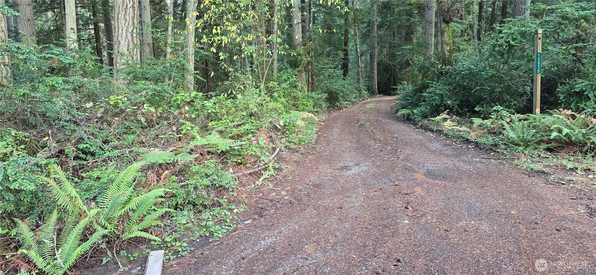 Vashon, WA 98070,0 SW XXX 204th Street