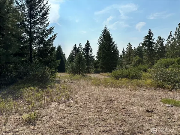 Goldendale, WA 98620,2 Cedar Monument RD