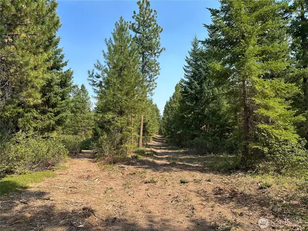 Goldendale, WA 98620,2 Cedar Monument RD