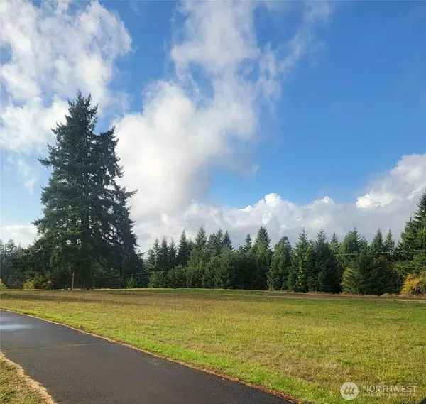 Winlock, WA 98596,0 NE 1st ST