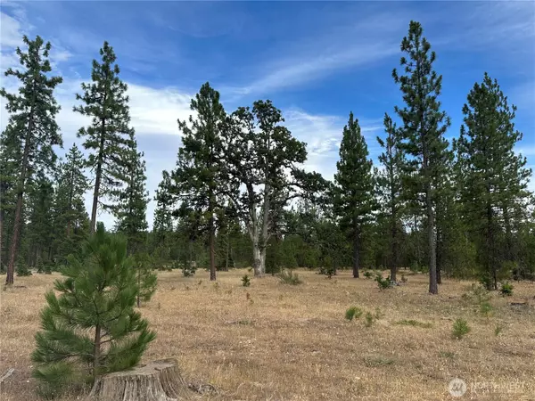 Goldendale, WA 98620,5 Greyback Mt RD