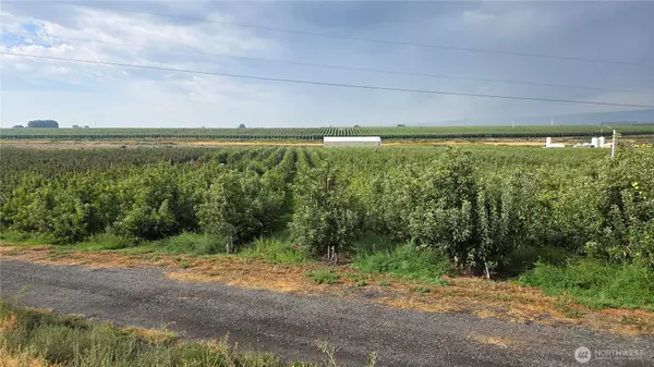 Quincy, WA 98848,19651 W Hwy 28