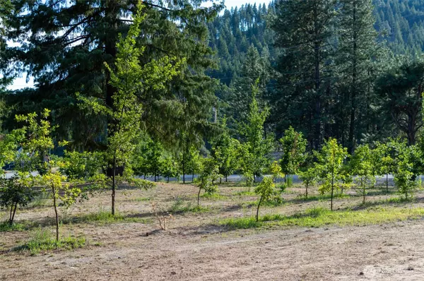 Leavenworth, WA 98826,76 A/B Oak Orchard LN