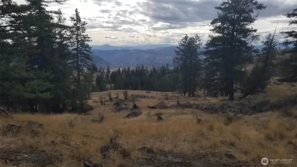 Oroville, WA 98844,0 Blue Grouse (Div 5, Lot 42)