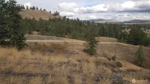 Oroville, WA 98844,0 Blue Grouse (Div 5, Lot 42)