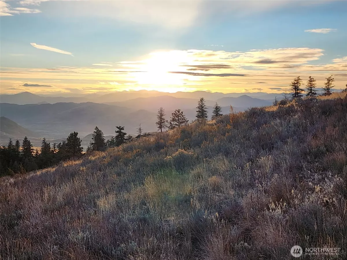 Oroville, WA 98844,0 Blue Grouse (Div 5, Lot 42)