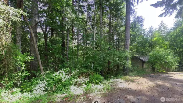 Hoodsport, WA 98548,130 LOT: B, PTN BLK: 15