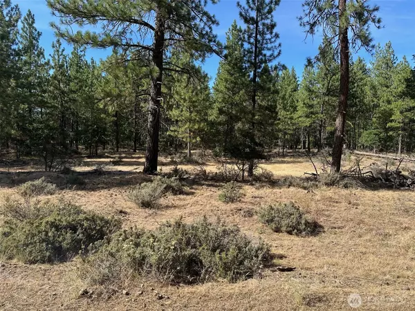 Goldendale, WA 98620,0 Lee RD