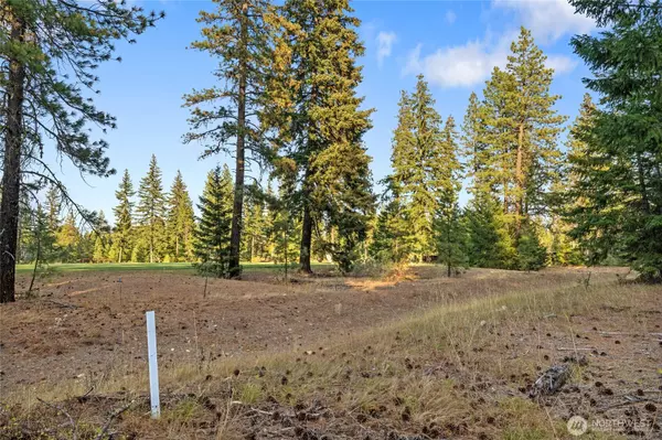 Cle Elum, WA 98922,0 Domerie Park LOOP