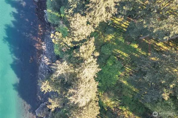 Orcas Island, WA 98245,64 Barn Owl TRL