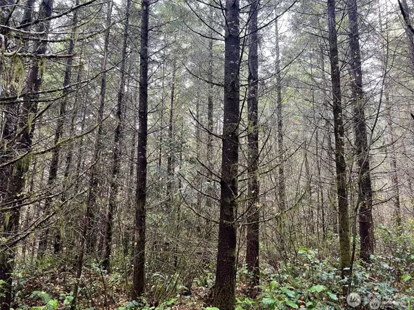 Chehalis, WA 98532,0 Pleasant Valley RD