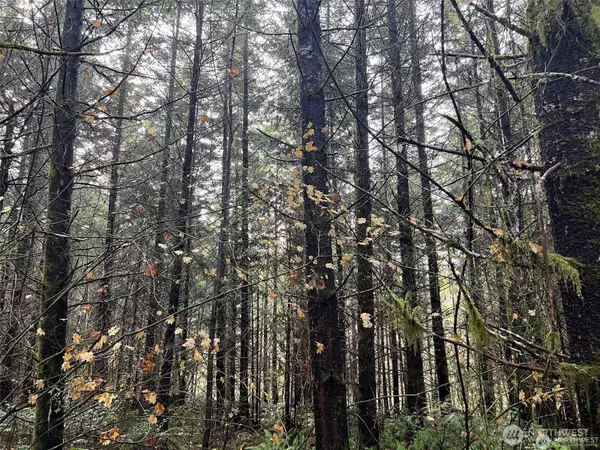 Chehalis, WA 98532,0 Pleasant Valley RD