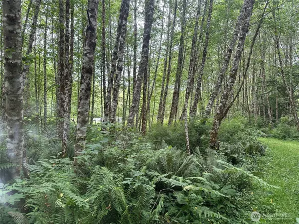 295 Oak Point RD, Longview, WA 98632