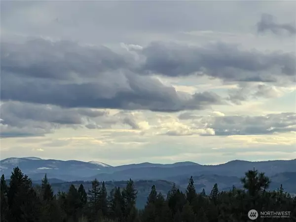 Republic, WA 99166,50 DOLL DR