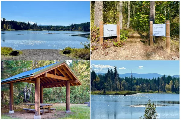 Eatonville, WA 98328,36003 36th AVE E