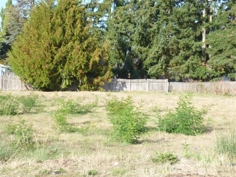 239 170th ST E, Spanaway, WA 98387