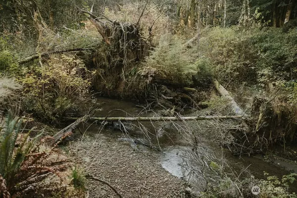 Forks, WA 98331,170 Sportsman Club RD