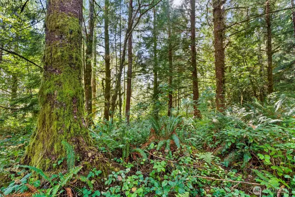 South Bend, WA 98586,0 Rixon RD