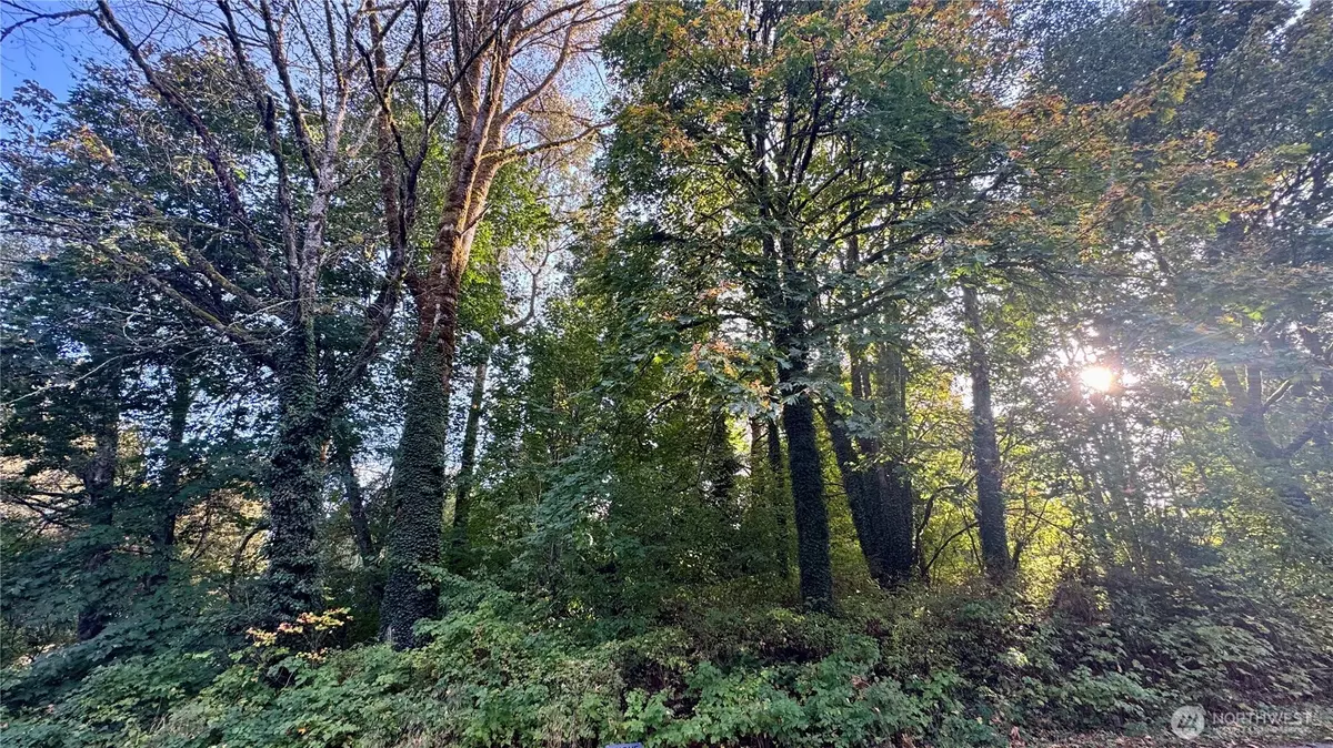 Concrete, WA 98237,0 Lt 14&15 Cape Horn DR