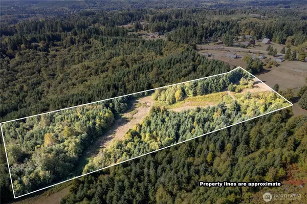 0 Lot 6 Spirit Lake Parcel WK3612011 HWY, Castle Rock, WA 98611