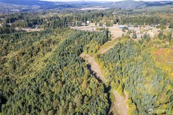 Castle Rock, WA 98611,0 Lot 6 Spirit Lake Parcel WK3612011 HWY