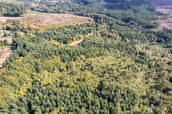 Castle Rock, WA 98611,0 Lot 5 Spirit Lake Parcel WK3612010 HWY