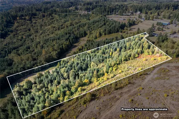 0 Lot 7 Spirit Lake Parcel WK3612009 HWY, Castle Rock, WA 98611