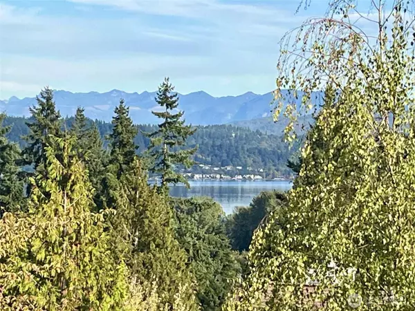 Bellevue, WA 98008,3416 161st CT SE #35