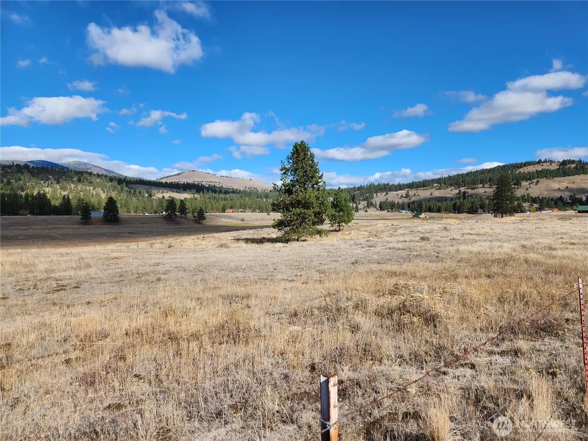 Tonasket, WA 98859,0 TBD Aenaes Valley RD
