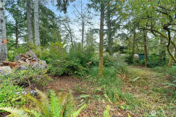 Ocean Shores, WA 98569,806 Scoter CT SE
