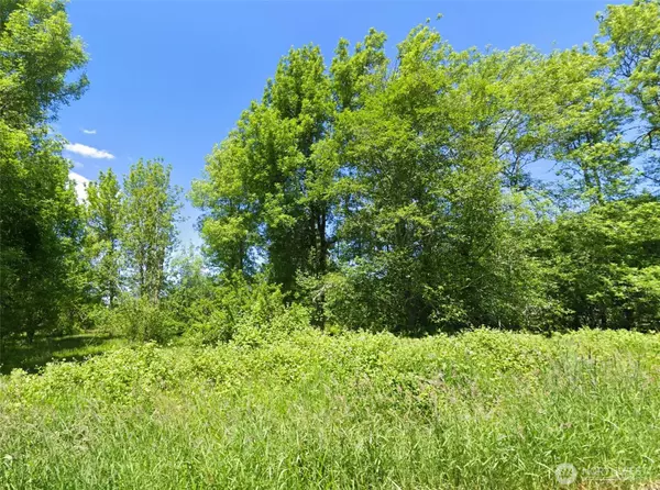 Chehalis, WA 98532,754 Cousins RD