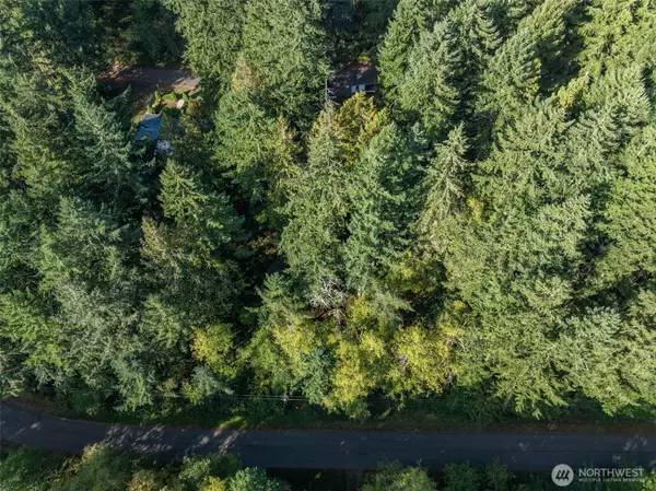 Anderson Island, WA 98303,10602 Vantage DR