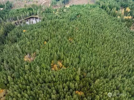 Port Orchard, WA 98367,0 Lake Helena TRL