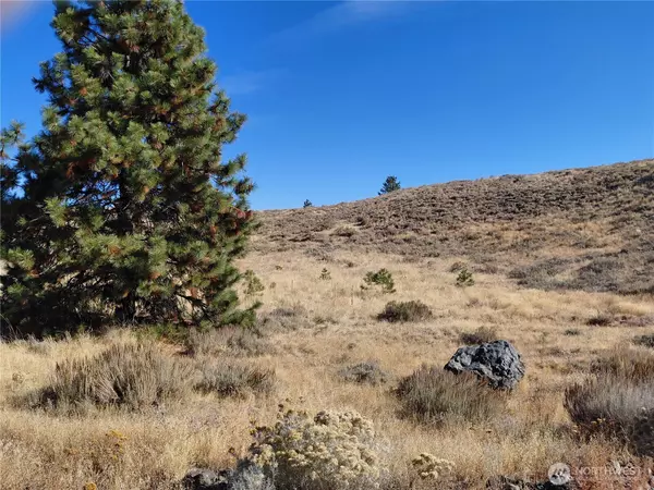 Orondo, WA 98843,0 nna Columbia River Bluffs RD