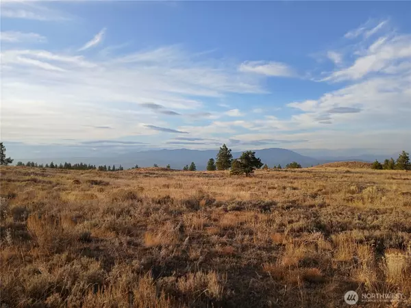 Orondo, WA 98843,0 nna Columbia River Bluffs RD