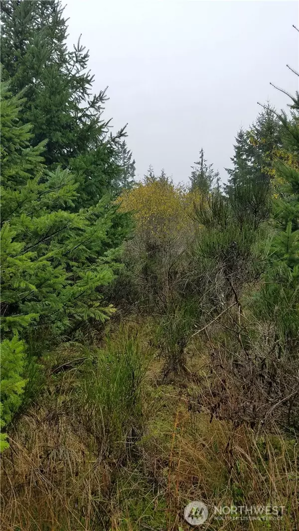 Shelton, WA 98584,1140 1180 W California RD