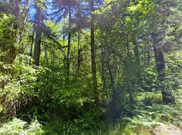 Centralia, WA 98531,0 Summers RD