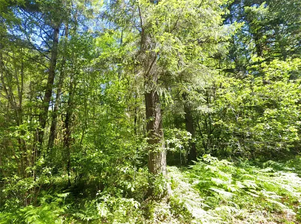 Centralia, WA 98531,0 Summers RD