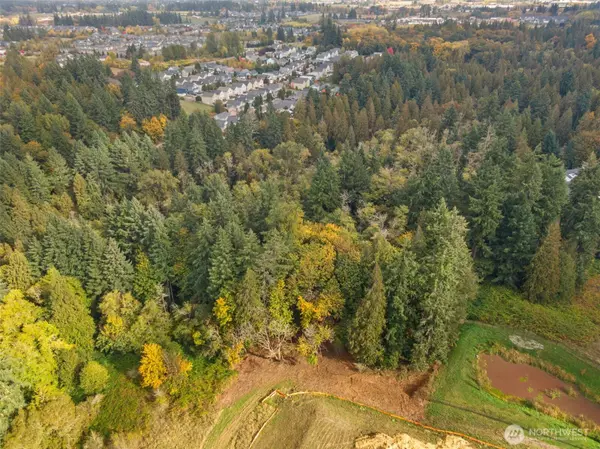 0 S 4th DR, Ridgefield, WA 98642