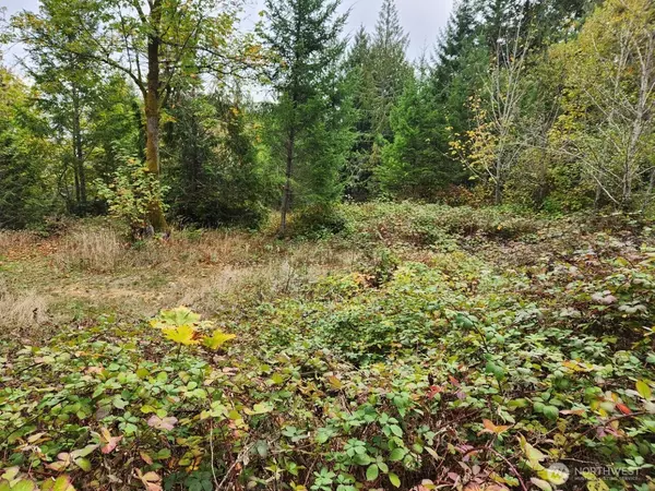 Brinnon, WA 98320,9999 Dusty Road