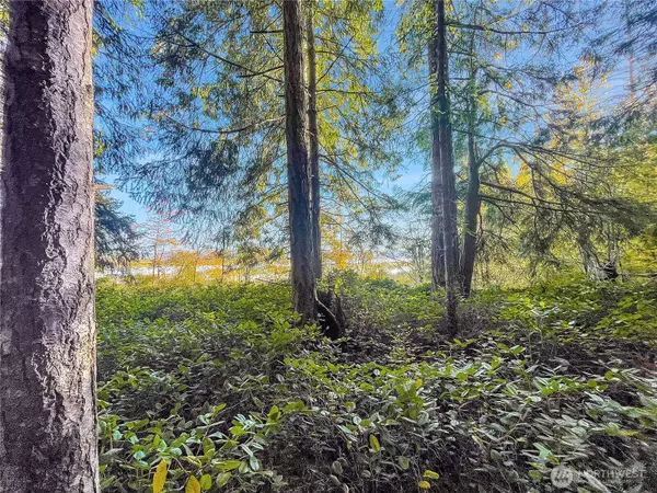 Silverlake, WA 98645,300 Kerr RD