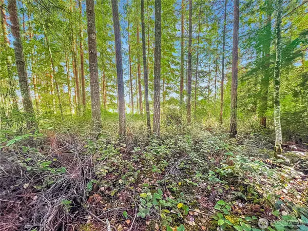 Silverlake, WA 98645,300 Kerr RD