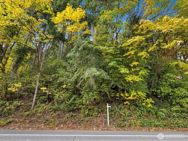 Bellevue, WA 98008,445 W Lake Sammamish Pkwy SE