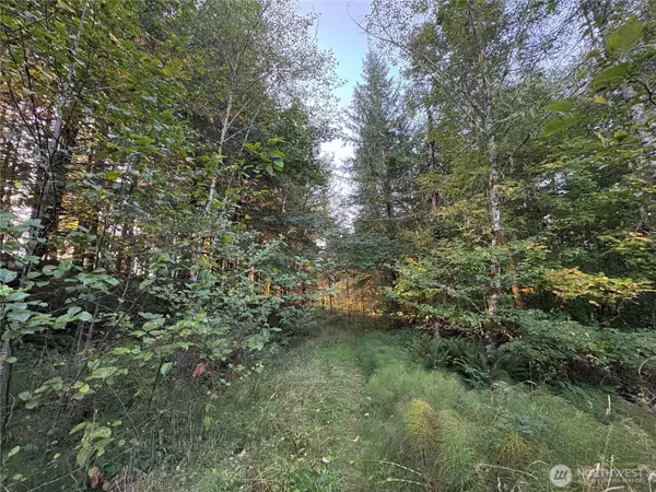 Toutle, WA 98649,0 NKA Frank Smith RD