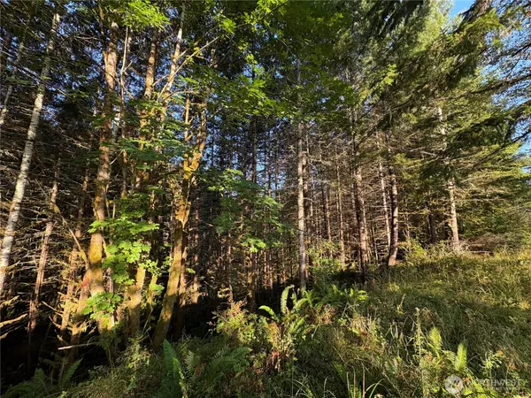 Toutle, WA 98649,0 NKA Frank Smith RD