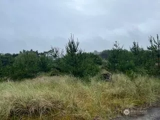 Ocean Park, WA 98640,806 318th PL