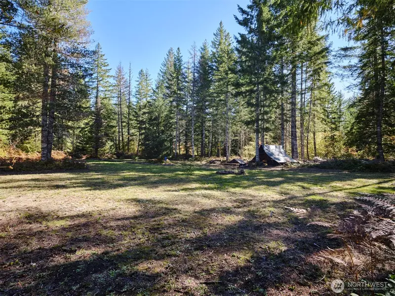 2 A Lahar LN, Cougar, WA 98616