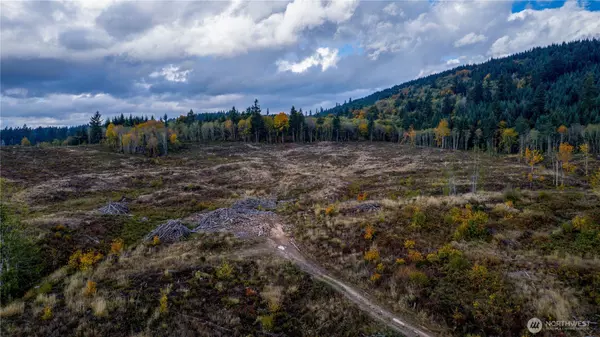 Tenino, WA 98589,17942 Northcraft RD SE